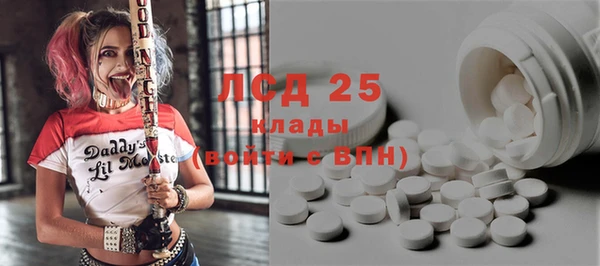 гашик Покровск