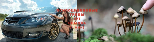 МДМА Алексеевка